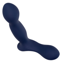 CalExotics Viceroy Stimulateur de prostate Expert Probe Viceroy 10 x 2.5cm